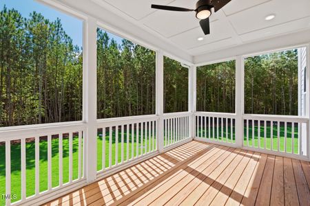 New construction Single-Family house 400 Terry Road, Hillsborough, NC 27278 - photo 15 15