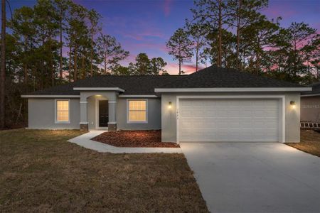 New construction Single-Family house 1031 Nw Buena Vista Rd, Dunnellon, FL 34431 - image