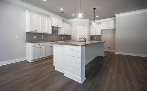 New construction Single-Family house 117 Harmony Farms Dr, Eatonton, GA 31024 (GA)Carson A 2 Front Entry- photo 4 4