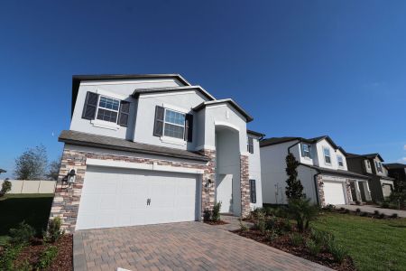 New construction Single-Family house 12176 Hilltop Farms Dr, Dade City, FL 33525 Malibu- photo 172 172