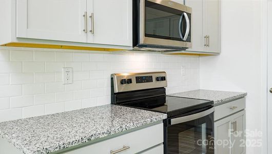 New construction Single-Family house 3052 Ora Smith Rd, Lincolnton, NC 28092 Darwin- photo 8 8