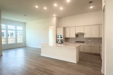 New construction Single-Family house 17313 Silverman Dr, Pflugerville, TX 78660 plan Johnson - image 4