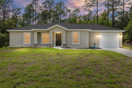 New construction Single-Family house 11300 N Angel Ter, Citrus Springs, FL 34434 - image