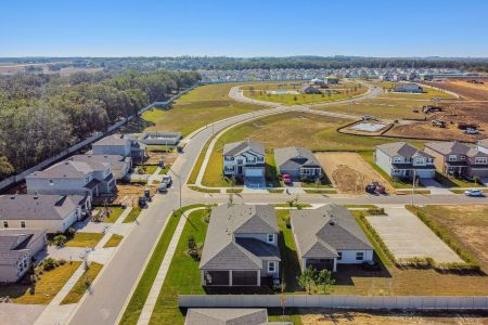 New construction Single-Family house 38471 Barrel Dr, Dade City, FL 33525 Picasso Bonus- photo 98 98