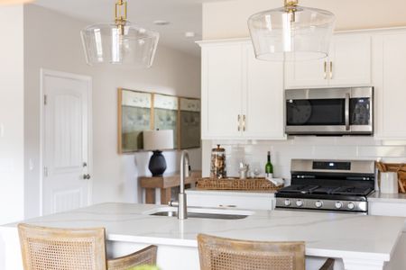 New construction Single-Family house 11001 Woodland Trl, Brunswick, GA 31525 plan The Magnolia - image 9