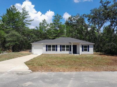 New construction Single-Family house 6 Fisher Way Place, Ocklawaha, FL 32179 - photo 0