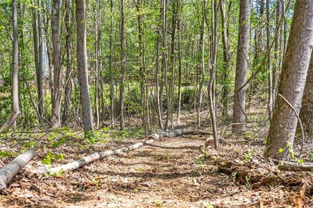 New construction Single-Family house 280 Winterberry Wy, Roswell, GA 30075 - image 15