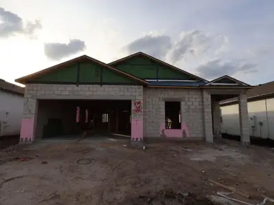 New construction Single-Family house 3109 Autumn Rock Dr, Zephyrhills, FL 33540 plan Picasso - image