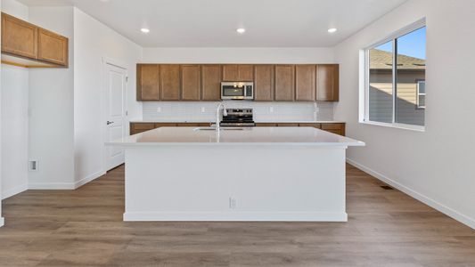 New construction Single-Family house 1448 Boyle St, Windsor, CO 80550 plan Kensington - image 9