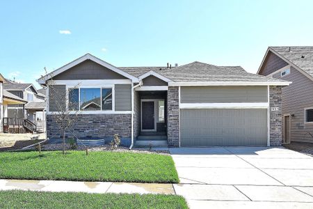 New construction Single-Family house 437 Vivid Ln, Windsor, CO 80550 null- photo 0 0