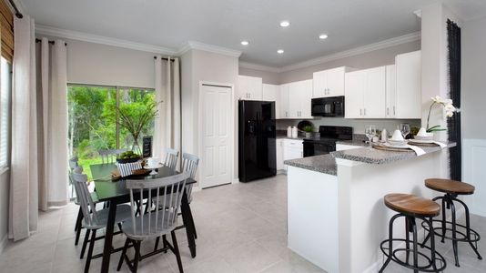 Townes at Lake Thomas: The Townhomes by Lennar in Land O' Lakes - photo 8 8