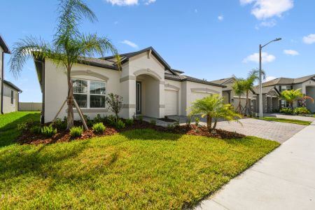 New construction Single-Family house 4774 Beachrose Way, Lakeland, FL 33811 Barcello Bonus- photo 103 103