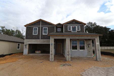 New construction Single-Family house 11984 Hilltop Farms Dr, Dade City, FL 33525 Casanova- photo 47 47