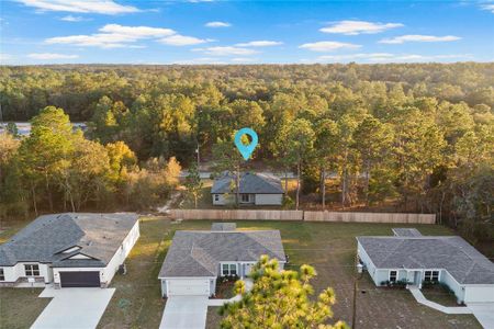 New construction Single-Family house 1985 W Corrine St, Citrus Springs, FL 34434 - image