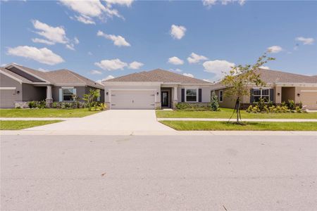 New construction Single-Family house 2347 Selenia St, Lake Alfred, FL 33850 Jupiter- photo 0