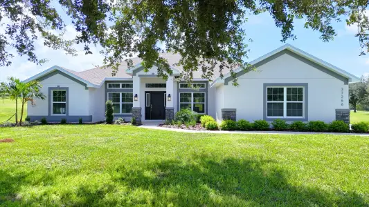 New construction Single-Family house 37266 Hidden View Cir, Dade City, FL 33523 plan 2169 - image