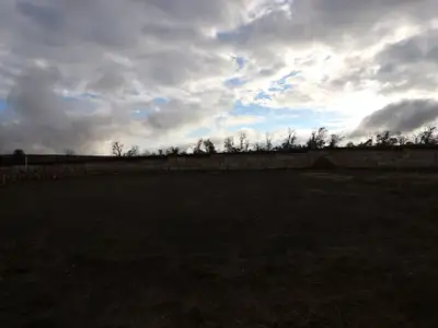 New construction Single-Family house 4501 Lava Island Dr, Austin, TX 78747 plan Caprock - Smart Series - image