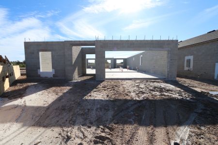 New construction Single-Family house 3150 Adams Cross Dr, Zephyrhills, FL 33540 Miranda- photo 9 9