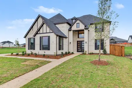 New construction Single-Family house 300 Hanging Garden Dr, Prosper, TX 75078 - image