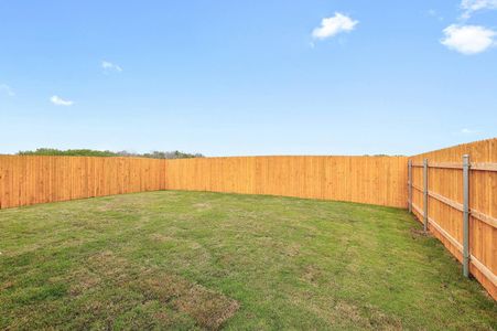 New construction Single-Family house 441 Lucky Ave, Elgin, TX 78621 plan Birch | Trinity Ranch - image 14