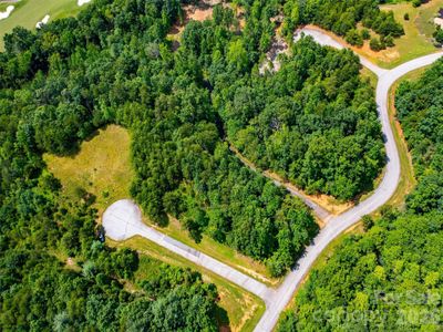 New construction Single-Family house 142 Elkton Ct, Mill Spring, NC 28756 - image 19