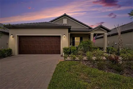 New construction Single-Family house 10395 Banyan Breeze Blvd, Land O' Lakes, FL 34638 - image