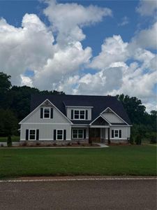 New construction Single-Family house 133 Twin Oaks Dr, Hampton, GA 30228 - image