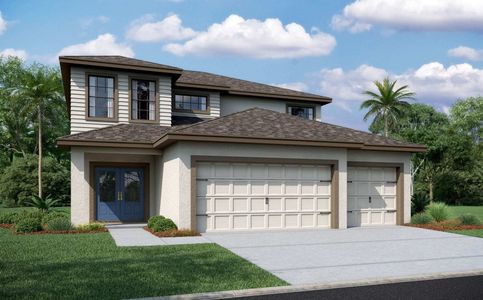 Rose Haven by Vitale Homes in New Port Richey - photo 21 21