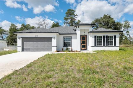 New construction Single-Family house 2459 Sw 158Th Street Rd, Ocala, FL 34473 - image