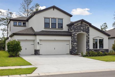 New construction Single-Family house 3458 Yellow Leaf Cir, Spring Hill, FL 34609 plan Hyde Park IV - image