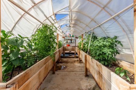 New construction Single-Family house 39024 N 11Th Ave, Phoenix, AZ 85086 - image