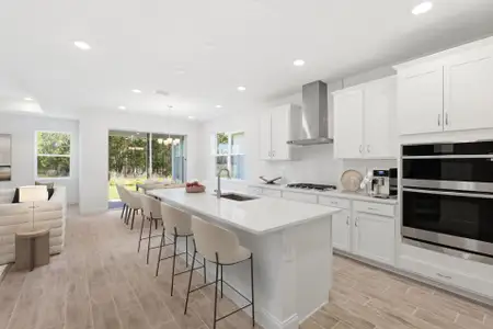New construction Single-Family house 2357 Wise River Ln, Zephyrhills, FL 33541 plan Vero - image 5