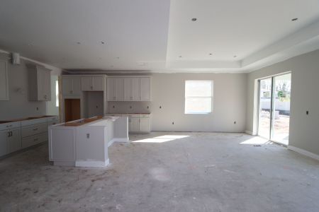 New construction Single-Family house 20264 Oriana Loop, Land O' Lakes, FL 34638 Santa Monica- photo 108 108