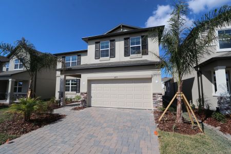 New construction Single-Family house 4877 Foxglove Cir, Lakeland, FL 33811 Alenza- photo 136 136