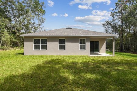 New construction Single-Family house 7928 N Creek Wy, Citrus Springs, FL 34434 plan Daffodil IV - image