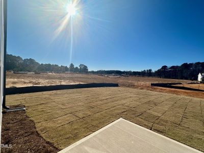 New construction Single-Family house 724 Hipwood Drive, Zebulon, NC 27597 Callaway- photo 19 19