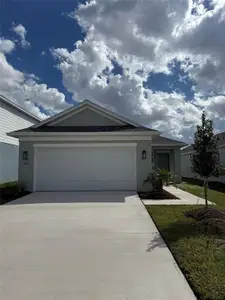 New construction Single-Family house 13111 Sassafras Trl, Parrish, FL 34219 - image