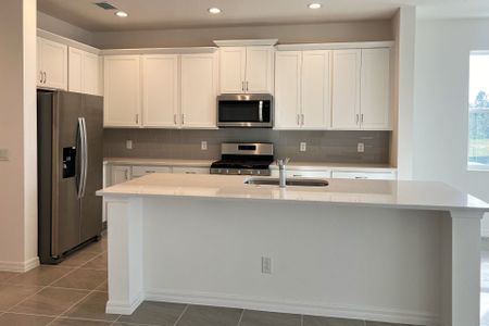 New construction Single-Family house 6821 Serpent Hawk Lane St, Howey-in-the-Hills, FL 34737 plan Hayden - image 8