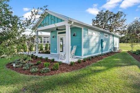 New construction Single-Family house 12176 Grand Oak Lane, Wildwood, FL 34484 - photo 28 28