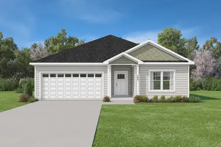 New construction Single-Family house 9325 Harrison St, Castalia, NC 27816 plan Landon - image