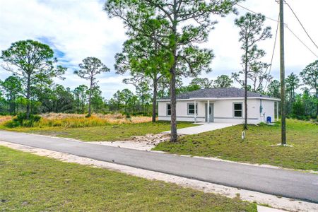 New construction Single-Family house 1417 Bittersweet St, Lake Placid, FL 33852 - image