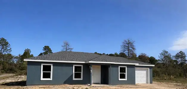New construction Single-Family house 21 Fisher Pl, Ocklawaha, FL 32179 - image