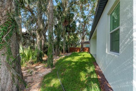 New construction Single-Family house 620 Titcomb St, Eustis, FL 32726 null- photo 24 24