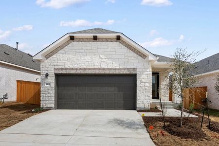 New construction Single-Family house 109 Knockout Rose Dr, San Marcos, TX 78666 plan Travis - image