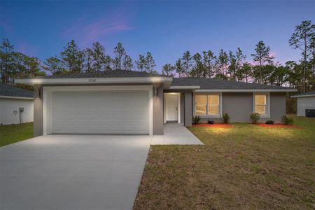 New construction Single-Family house 2681 Sw 157 Court, Ocala, FL 34481 - photo 0