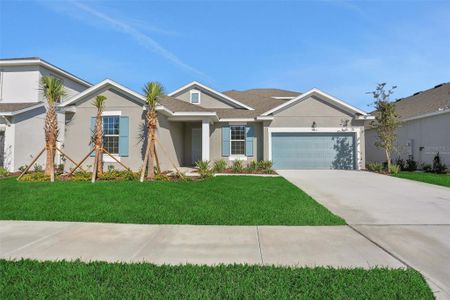 New construction Single-Family house 17477 Valleywood Pkwy, Land O' Lakes, FL 34638 plan Arlington - image