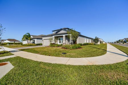 New construction Single-Family house 38471 Barrel Dr, Dade City, FL 33525 Picasso Bonus- photo 99 99