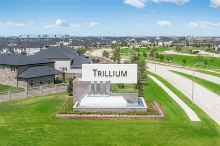 New construction Single-Family house 9606 Foxwood Meadow Ln, Richmond, TX 77407 plan Camelia - image