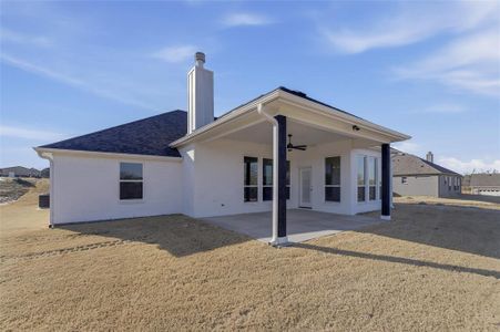 New construction Single-Family house 9012 Valley Oak Ct, Springtown, TX 76082 - image 19