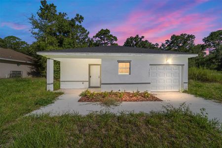 New construction Single-Family house 15431 Sw 41St Street Rd, Ocala, FL 34481 - image